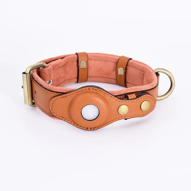 Leather Anti - Lost Dog Collar - My CTC Pet Store