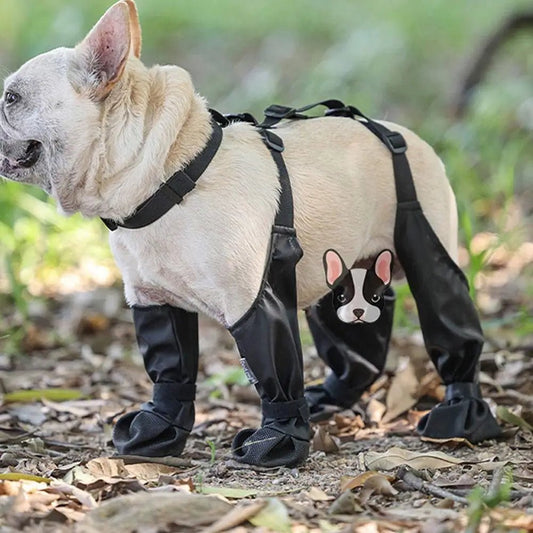 Anti - Slip Dog Shoes - My CTC Pet Store