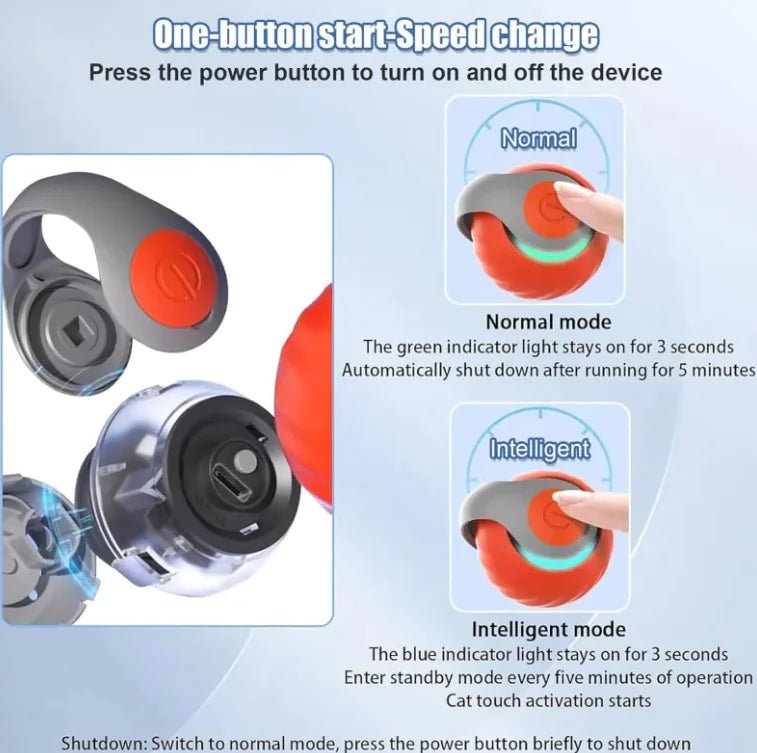 ChaseN Play Cat Toy - My CTC Pet Store