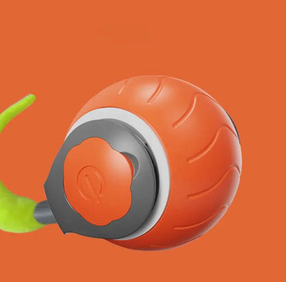 ChaseN Play Cat Toy - My CTC Pet Store