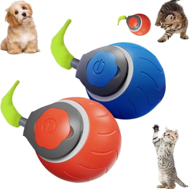 ChaseN Play Cat Toy - My CTC Pet Store
