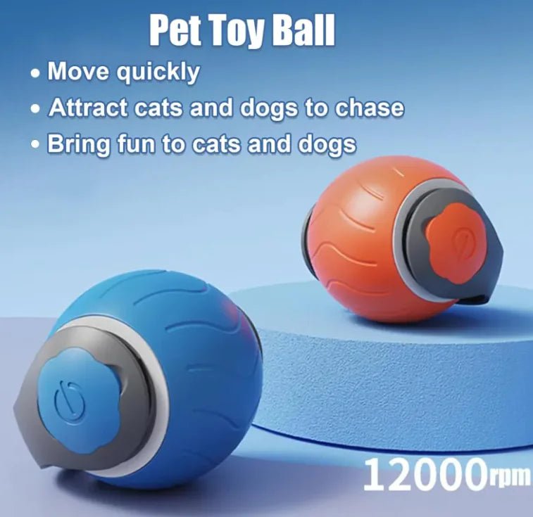 ChaseN Play Cat Toy - My CTC Pet Store