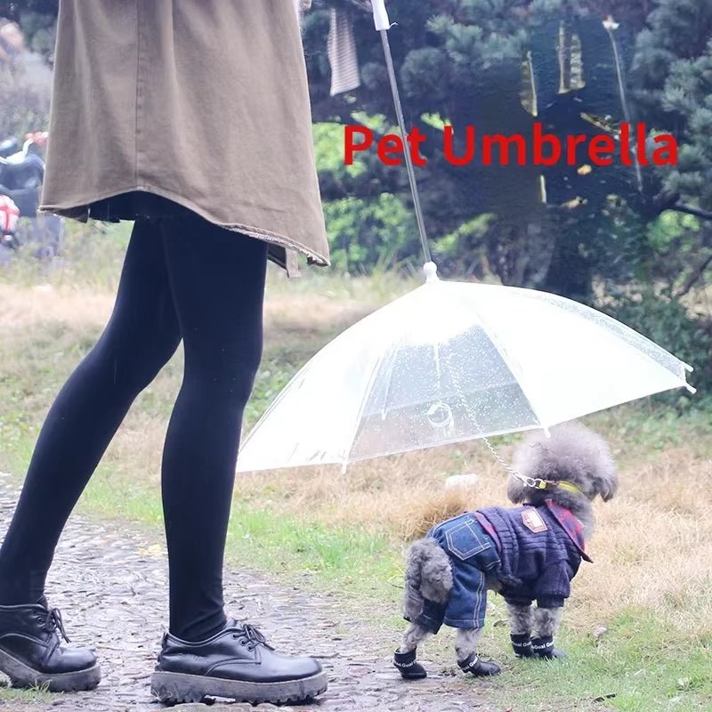 Creative Teddy Poodle Small Dogs Leading Umbrellas Walking Dogs Traveling Out Dogs Waterproof Poncho Pet Products - My CTC Pet Store