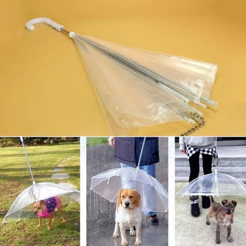 Creative Teddy Poodle Small Dogs Leading Umbrellas Walking Dogs Traveling Out Dogs Waterproof Poncho Pet Products - My CTC Pet Store