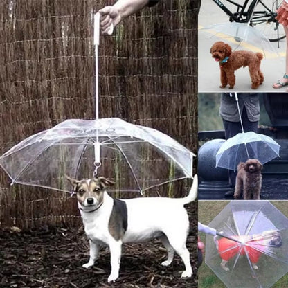 Creative Teddy Poodle Small Dogs Leading Umbrellas Walking Dogs Traveling Out Dogs Waterproof Poncho Pet Products - My CTC Pet Store
