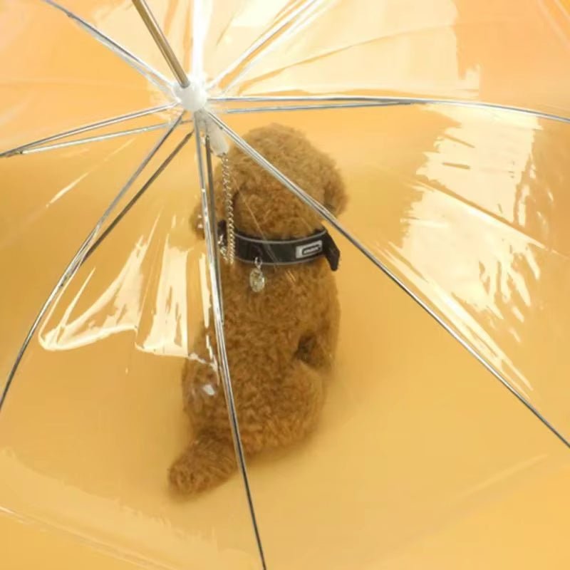 Creative Teddy Poodle Small Dogs Leading Umbrellas Walking Dogs Traveling Out Dogs Waterproof Poncho Pet Products - My CTC Pet Store