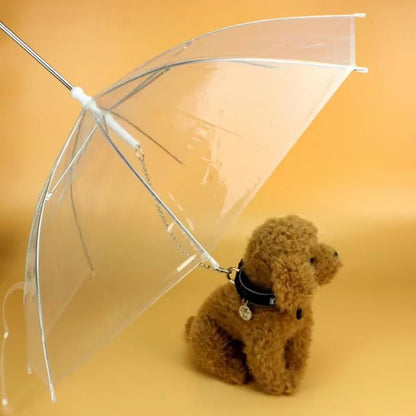 Creative Teddy Poodle Small Dogs Leading Umbrellas Walking Dogs Traveling Out Dogs Waterproof Poncho Pet Products - My CTC Pet Store