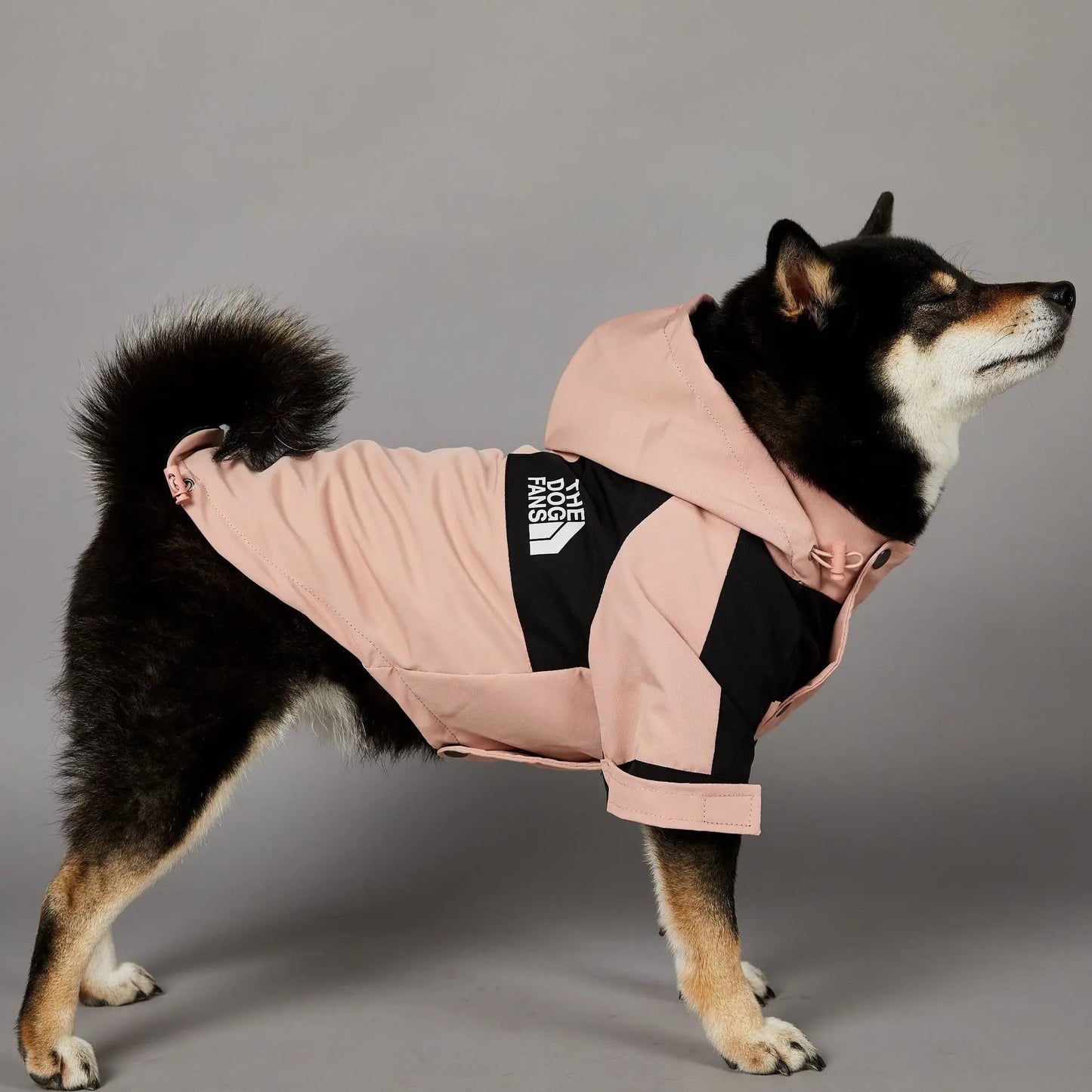 Hondenkleren Regenjas voor Kleine Grote Honden Windjas Windbreaker Franse Bulldog Hoodie voor Honden Kledingjas Chihuahua - My CTC Pet Store
