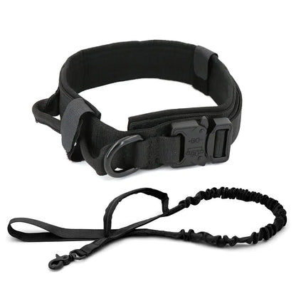 Dog Collar - My CTC Pet Store