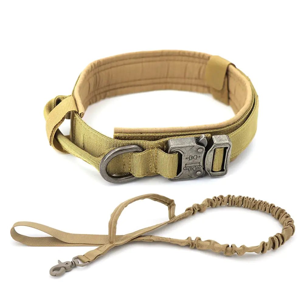 Dog Collar - My CTC Pet Store
