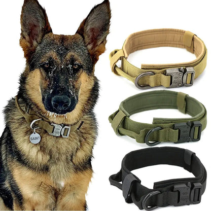Dog Collar - My CTC Pet Store