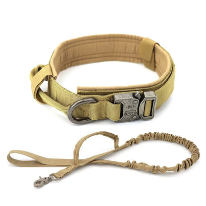 Dog Collar - My CTC Pet Store