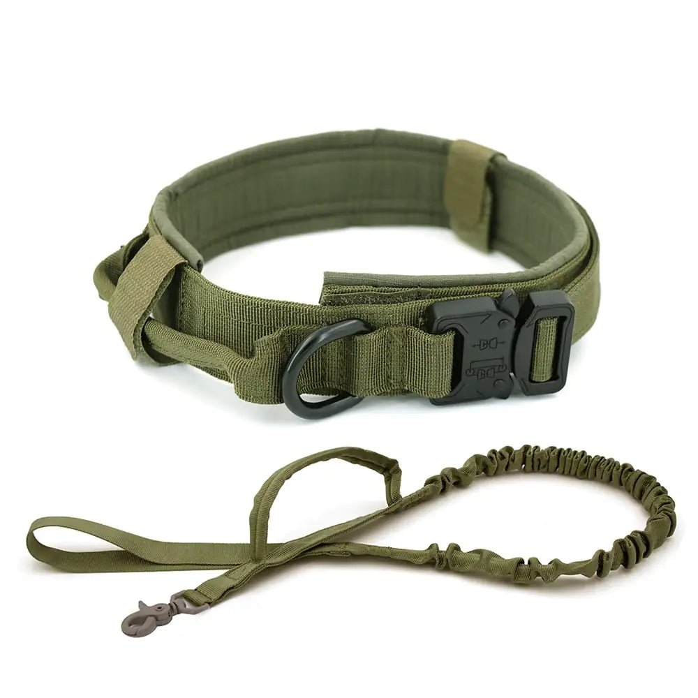 Dog Collar - My CTC Pet Store