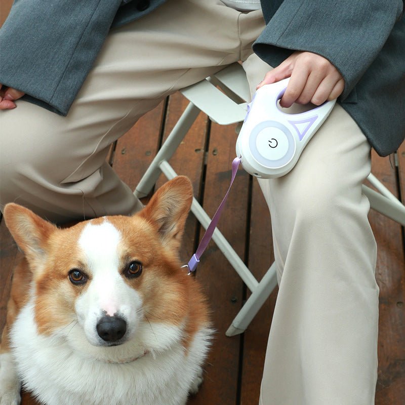 Dog Leash Retractable Leash And Dog Collar Spotlight Automatic Pet Dog - My CTC Pet Store