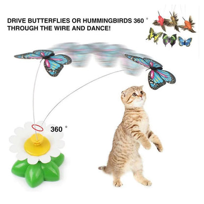 Electric Butterfly Cat Toy Shake Rotating Flying Automatic Humming Bird Intelligence Training Funny Pet Toys Random Color - My CTC Pet Store
