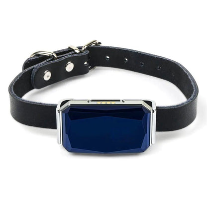 GPS Pet Tracker Halsband voor het Verloren Huisdier Locatie Tracking - My CTC Pet Store
