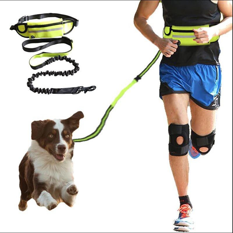 Hands Free Dog Leash Pet Walking and Training Belt with Shock Absorbing Bungee Leash for up to 180Lbs Large Dogs Phone Pocket and Water Bottle Holder - My CTC Pet Store