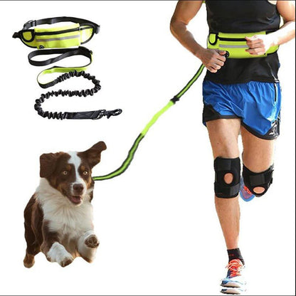Hands Free Dog Leash Pet Walking and Training Belt with Shock Absorbing Bungee Leash for up to 180Lbs Large Dogs Phone Pocket and Water Bottle Holder - My CTC Pet Store