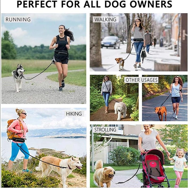 Hands Free Dog Leash Pet Walking and Training Belt with Shock Absorbing Bungee Leash for up to 180Lbs Large Dogs Phone Pocket and Water Bottle Holder - My CTC Pet Store