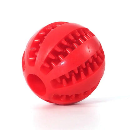Interactive Toy Balls - My CTC Pet Store
