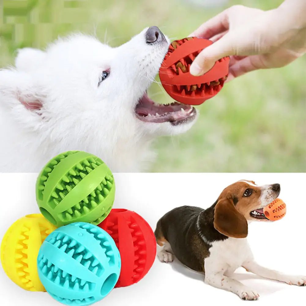 Interactive Toy Balls - My CTC Pet Store
