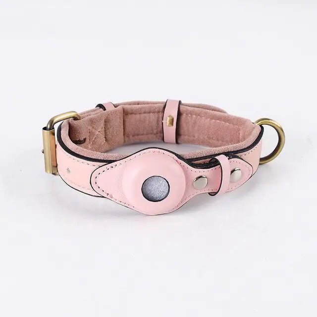 Leather Anti - Lost Dog Collar - My CTC Pet Store
