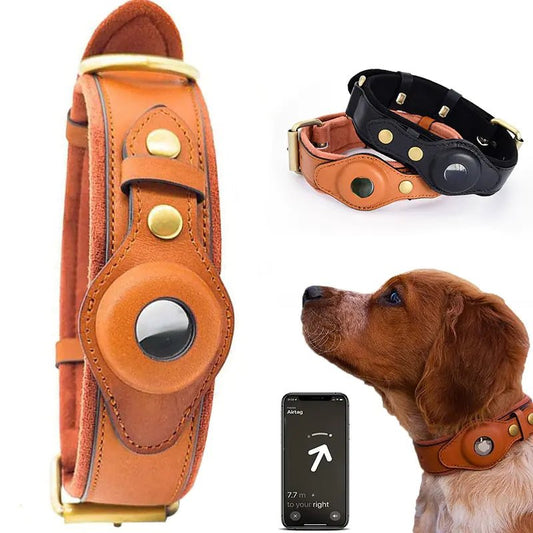 Leather Anti - Lost Dog Collar - My CTC Pet Store