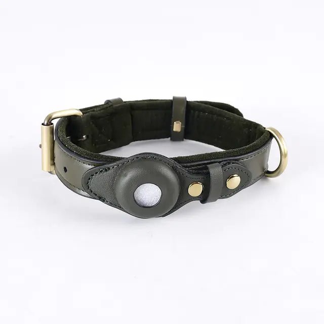 Leather Anti - Lost Dog Collar - My CTC Pet Store