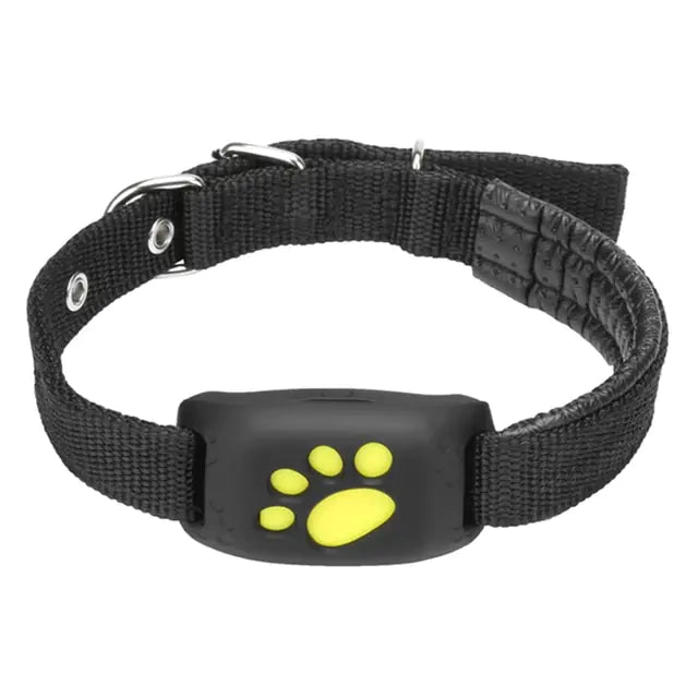Pet GPS Tracker Collar - My CTC Pet Store