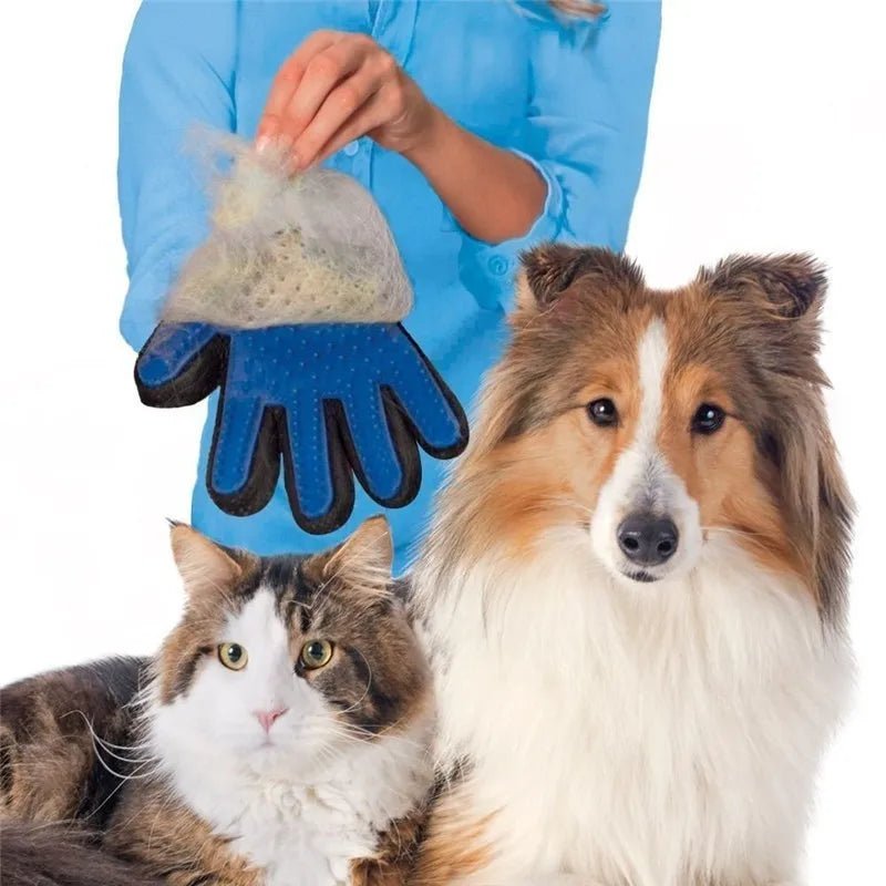 Pet Grooming Glove for Cats Brush Comb Cat Hackle Pet Deshedding Brush Glove for Animal Dog Pet Hair Gloves for Dog Grooming XW. - My CTC Pet Store
