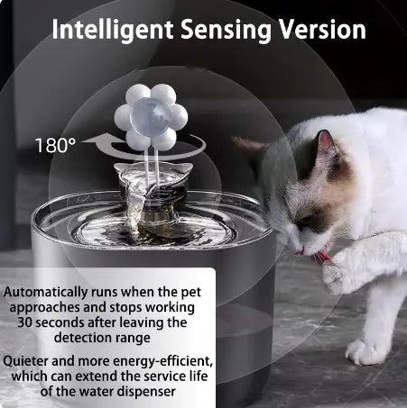 Pet Water Dispenser - My CTC Pet Store