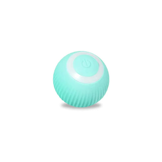 Rolling Ball - My CTC Pet Store