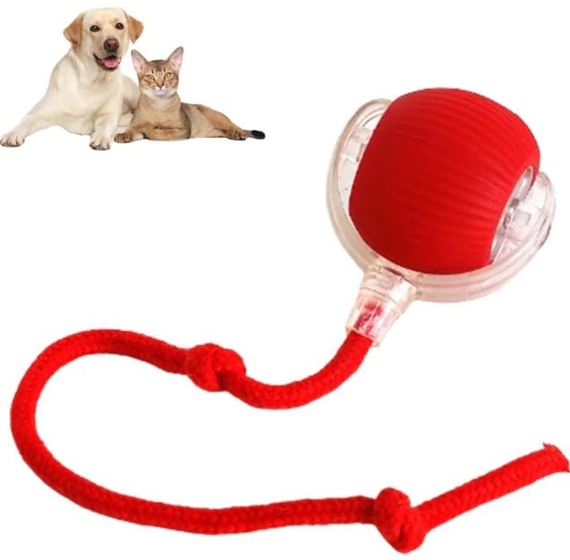 Smart Rolling Pet Ball - My CTC Pet Store