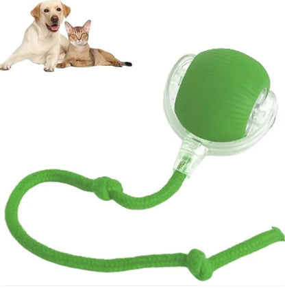 Smart Rolling Pet Ball - My CTC Pet Store