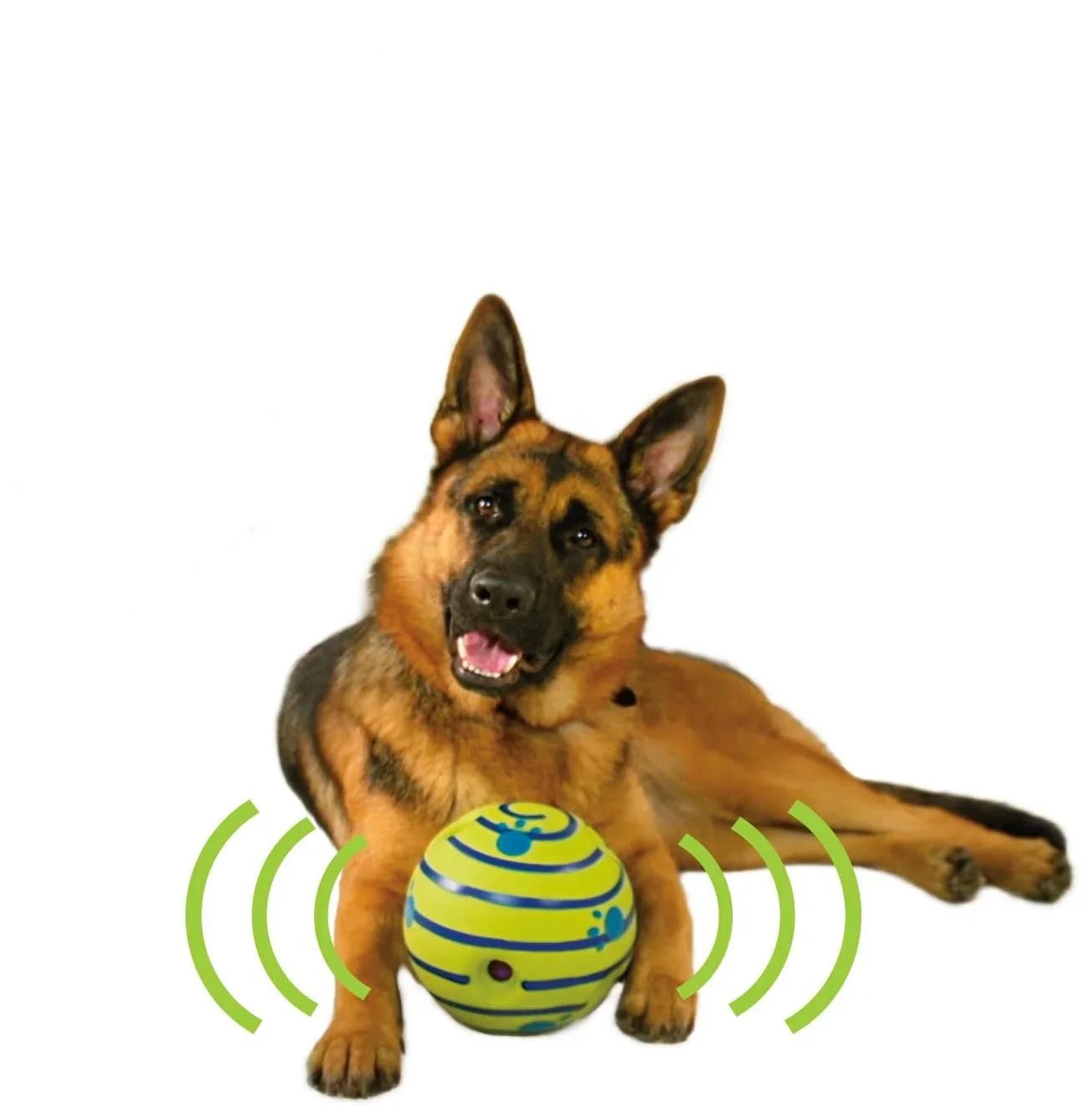 The Wobble Wag - My CTC Pet Store