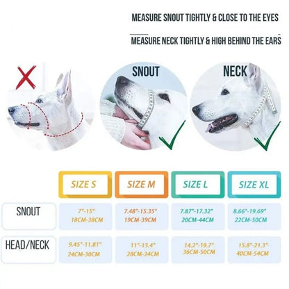 Training Collar - My CTC Pet Store