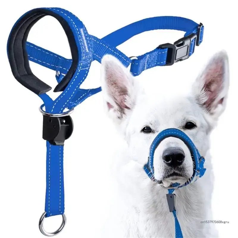 Training Collar - My CTC Pet Store