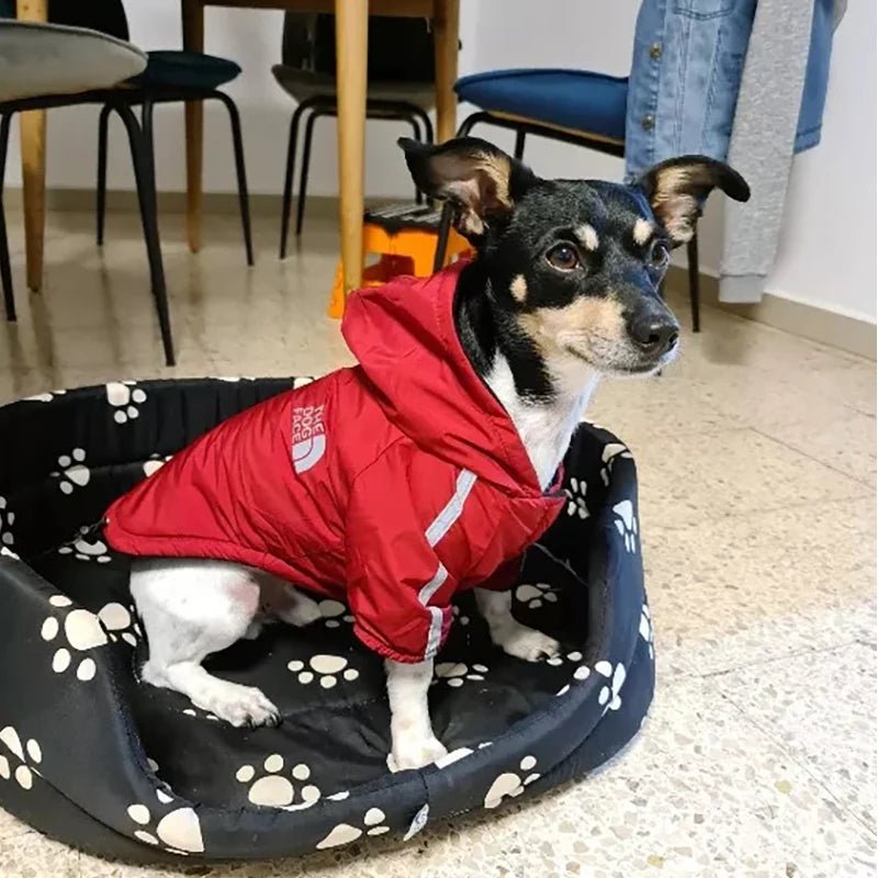 Waterproof Dogs Clothes Reflective Pet Coat for Small Medium Dogs Winter Warm Fleece Dog Jackets Puppy Raincoat Chihuahua Outfit - My CTC Pet Store