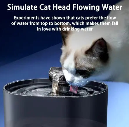 Distributeur d'eau pour animaux de compagnie